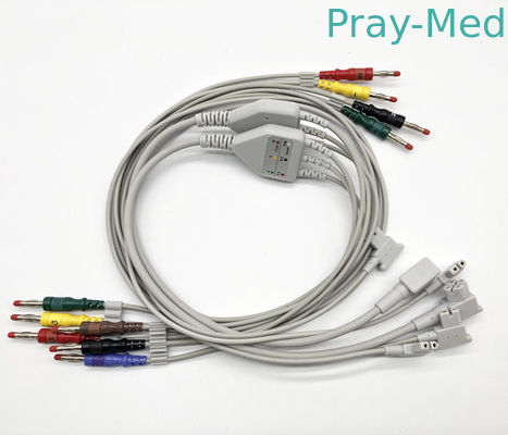 Ecg HP TC30 привязывает 10 руководство Ecg связывает с щелчковым/зажимом 989803151651